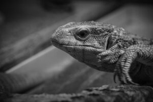感動する映像制作における注意点とは？