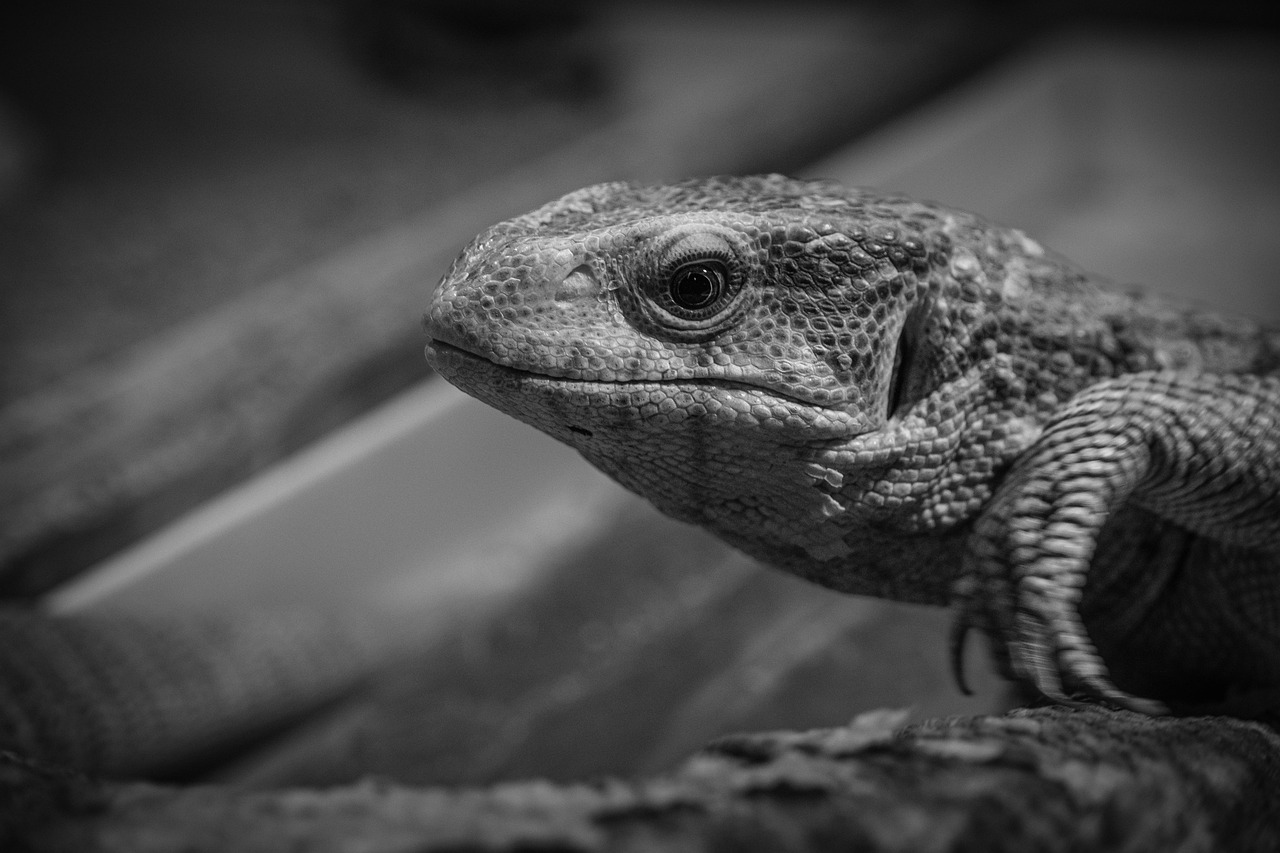 感動する映像制作における注意点とは？