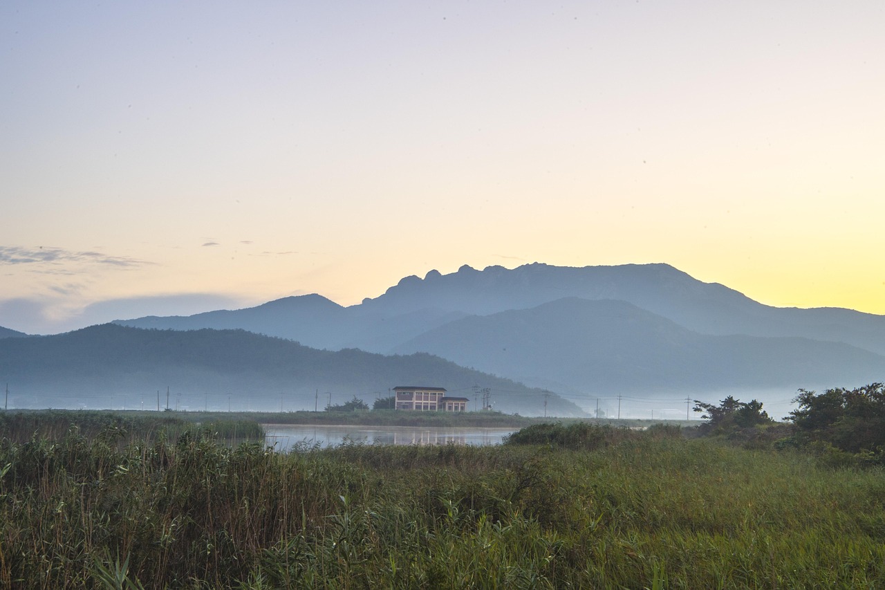 感動的な映像制作の成功事例にはどんなものがあるの？