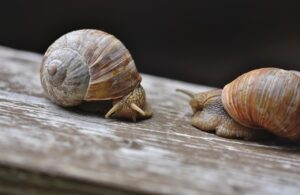 ムービー制作を依頼する前に確認すべきチェックリストは？