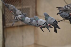 感動するムービー制作の依頼、成功した体験談はどんなもの？